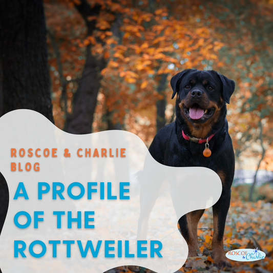 Breed Bio: Rottweiler | Roscoe & Charlie Blog