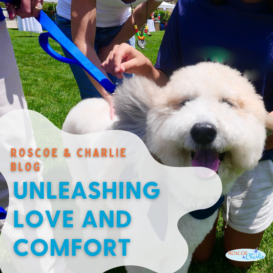 Unleashing Love and Comfort: Celebrating National Therapy Dog Appreciation Day