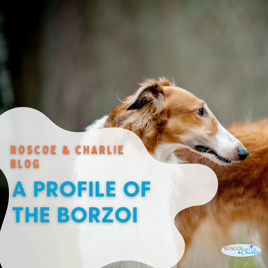 Breed Bio: Borzoi