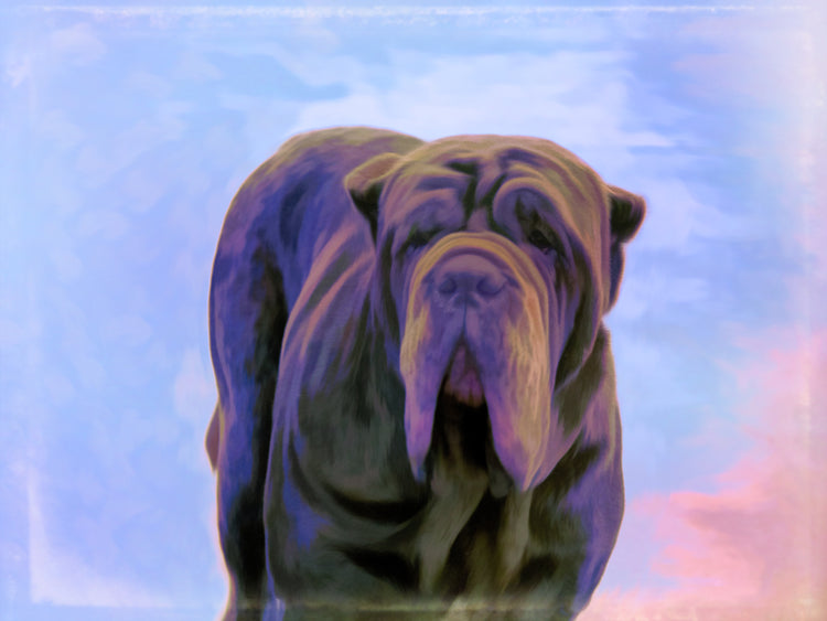 The Neapolitan Mastiff Collection | Shop Neapolitan Mastiff Art | Roscoe & Charlie