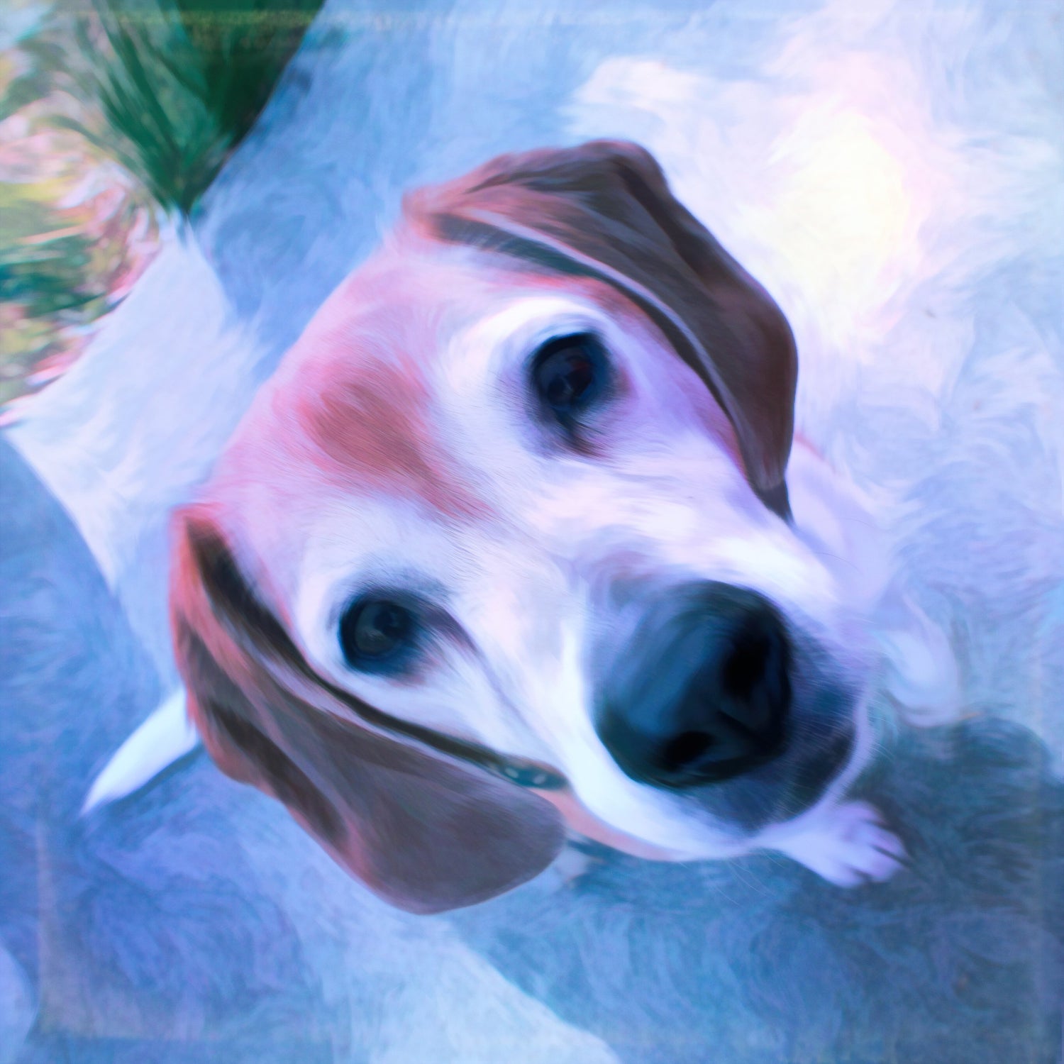 Buy Beagle Art | Roscoe & Charlie