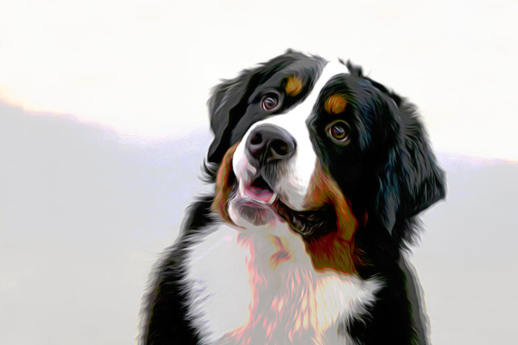 Buy Bernese Mountain Dog Art | Roscoe & Charlie