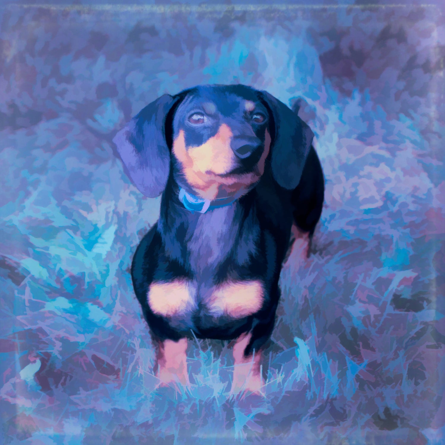 Buy Dachshund Art online | Roscoe & Charlie