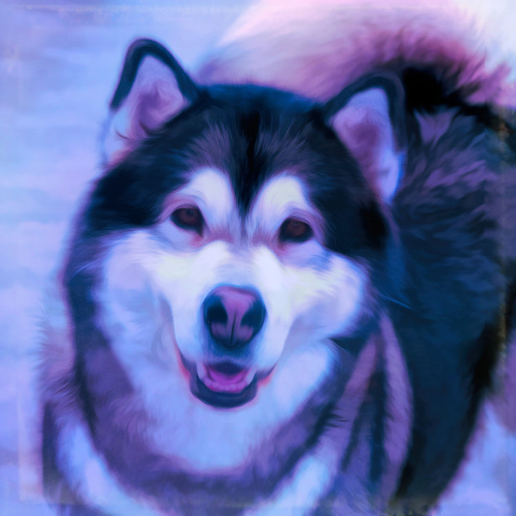 Shop Alaskan Malamute Art | Roscoe & Charlie