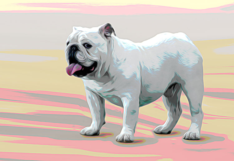 Buy English Bulldog Art | Roscoe & Charlie