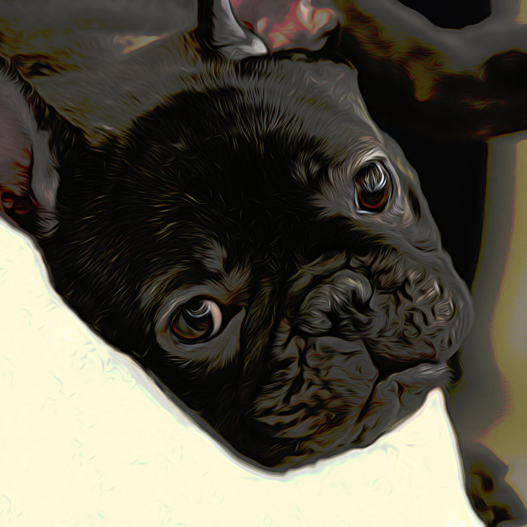 Buy French Bulldog Art | Roscoe & Charlie