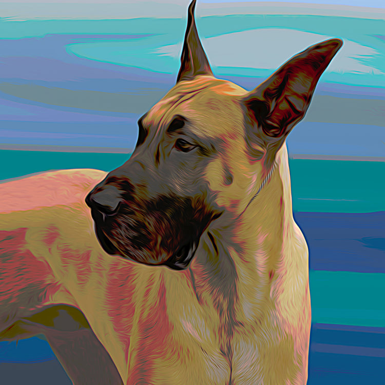 Buy Great Dane Art | Roscoe & Charlie