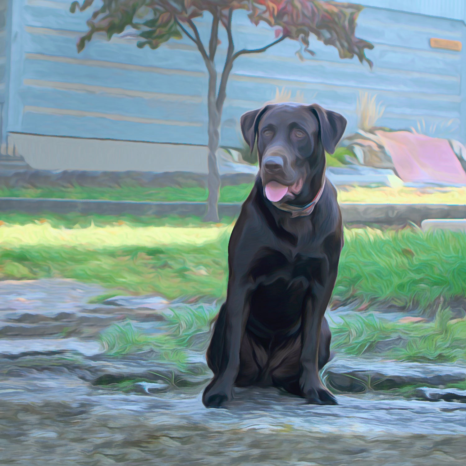 Buy Chocolate Lab Canvas | Roscoe & Charlie