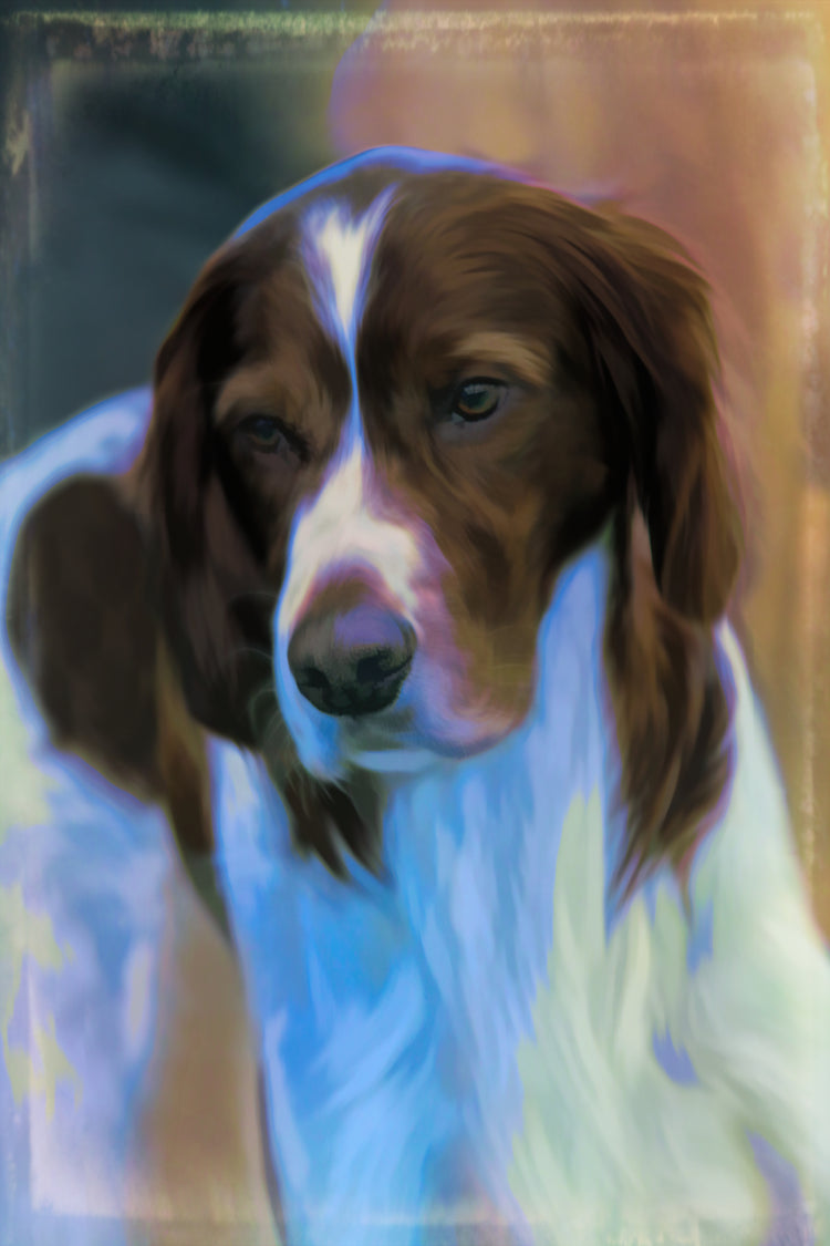 Shop Irish Red & White Setter Art | Roscoe & Charlie