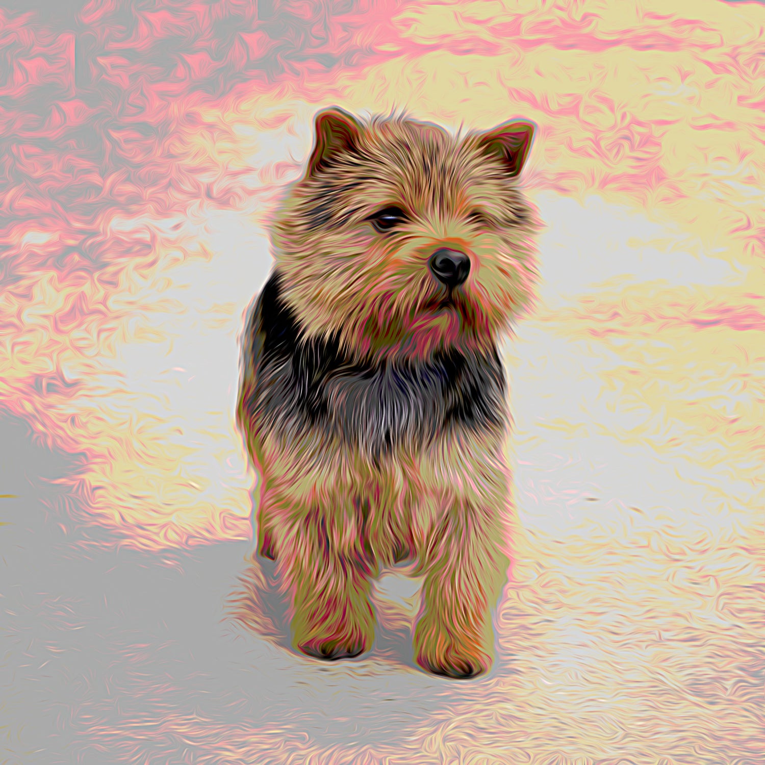 Buy Norwich Terrier Dog Art | Roscoe & Charlie