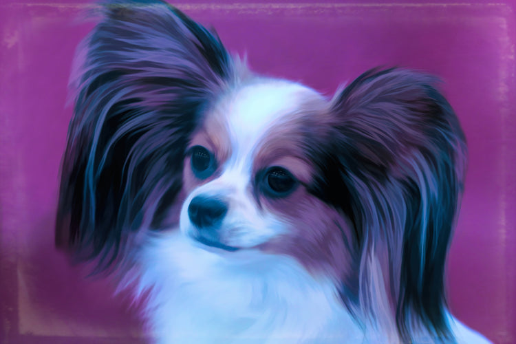 Buy Papillon Art | Roscoe & Charlie