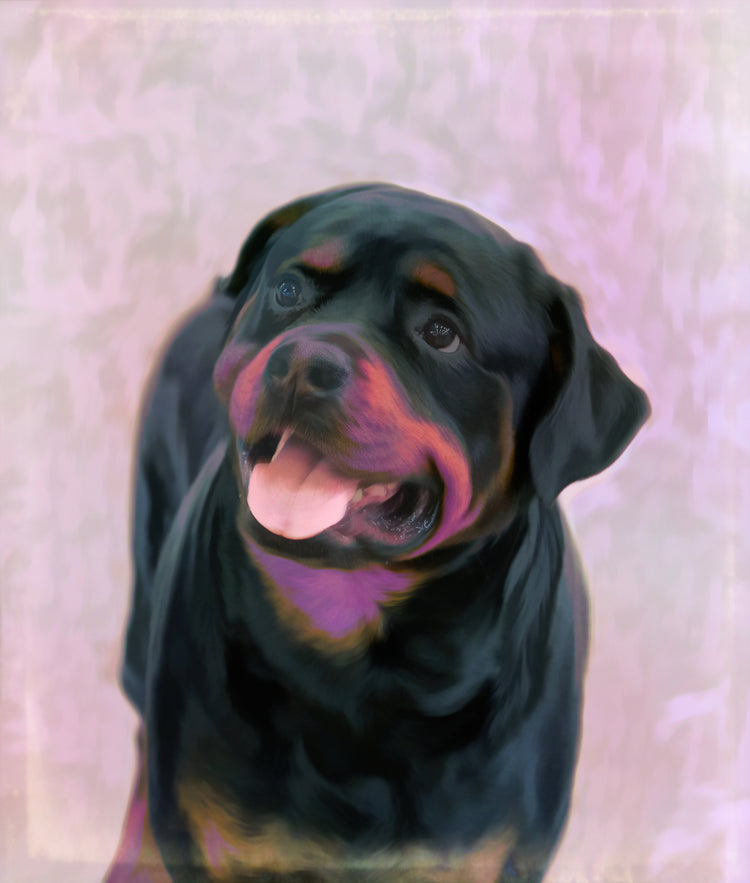 Buy Rottweiler Dog Art online | Roscoe & Charlie