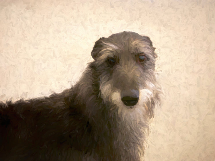 Shop Irish Wolfhound Art | Roscoe & Charlie