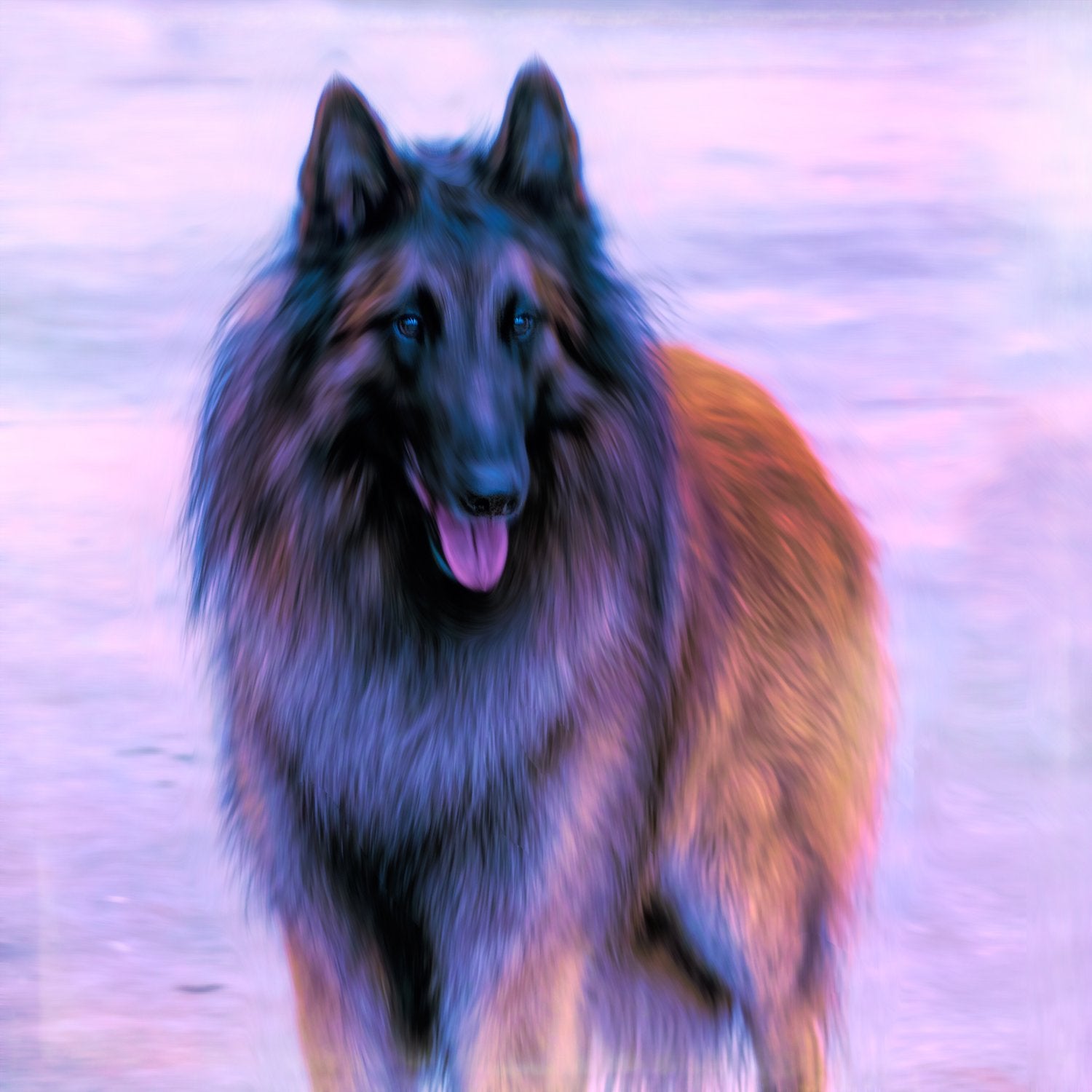 Buy Tervuren Dog Art online | Roscoe & Charlie