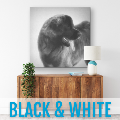 Personalized Dog Gallery Canvas (Square)