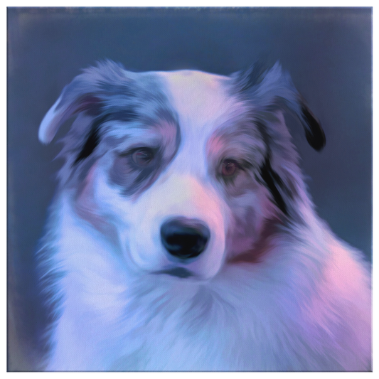 Buy canvas art with Australian Shepherd prints online | Roscoe & Charlie