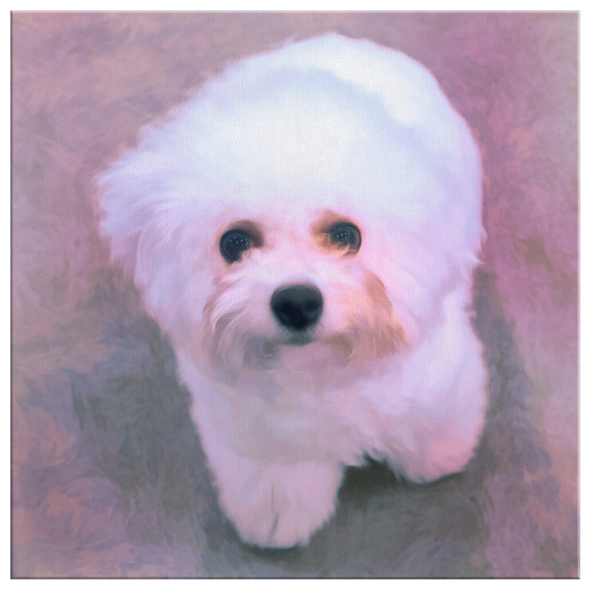 Buy canvas art with Bichon Frise prints online | Roscoe & Charlie