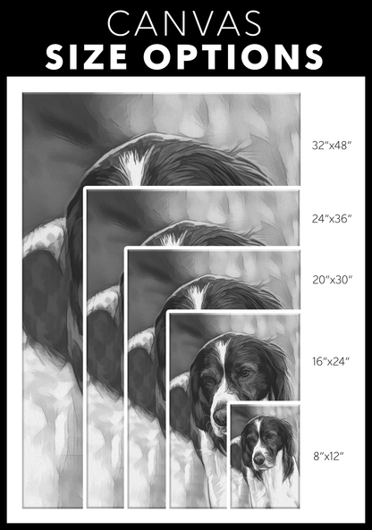 Irish Red & White Setter art available online | Roscoe & Charlie