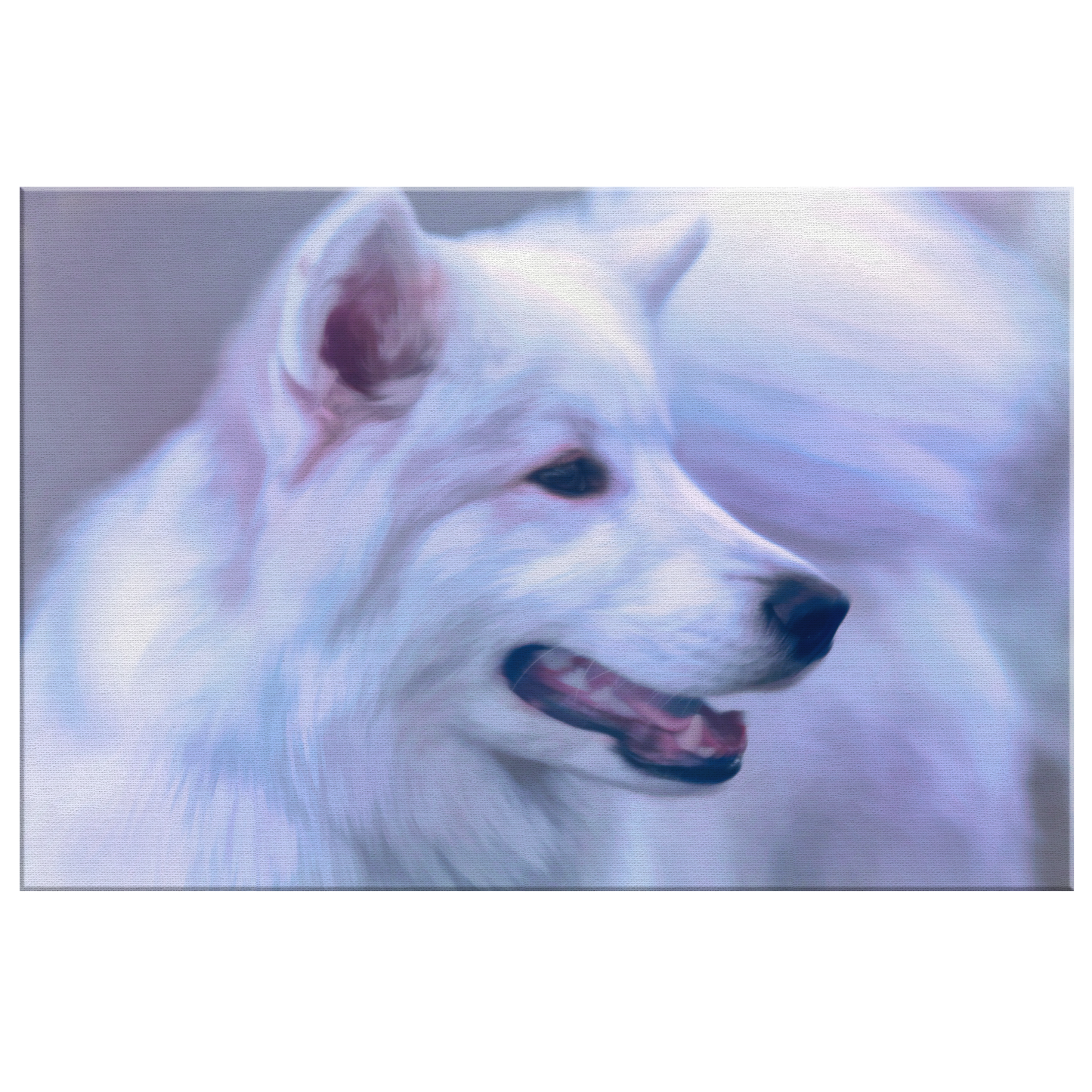 Buy Samoyed Wall Canvas Online | Roscoe & Charlie