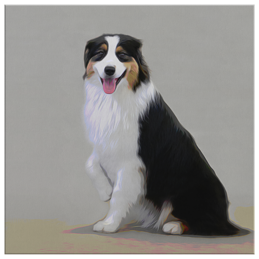 Buy canvas art with Australian Shepherd prints online | Roscoe & Charlie