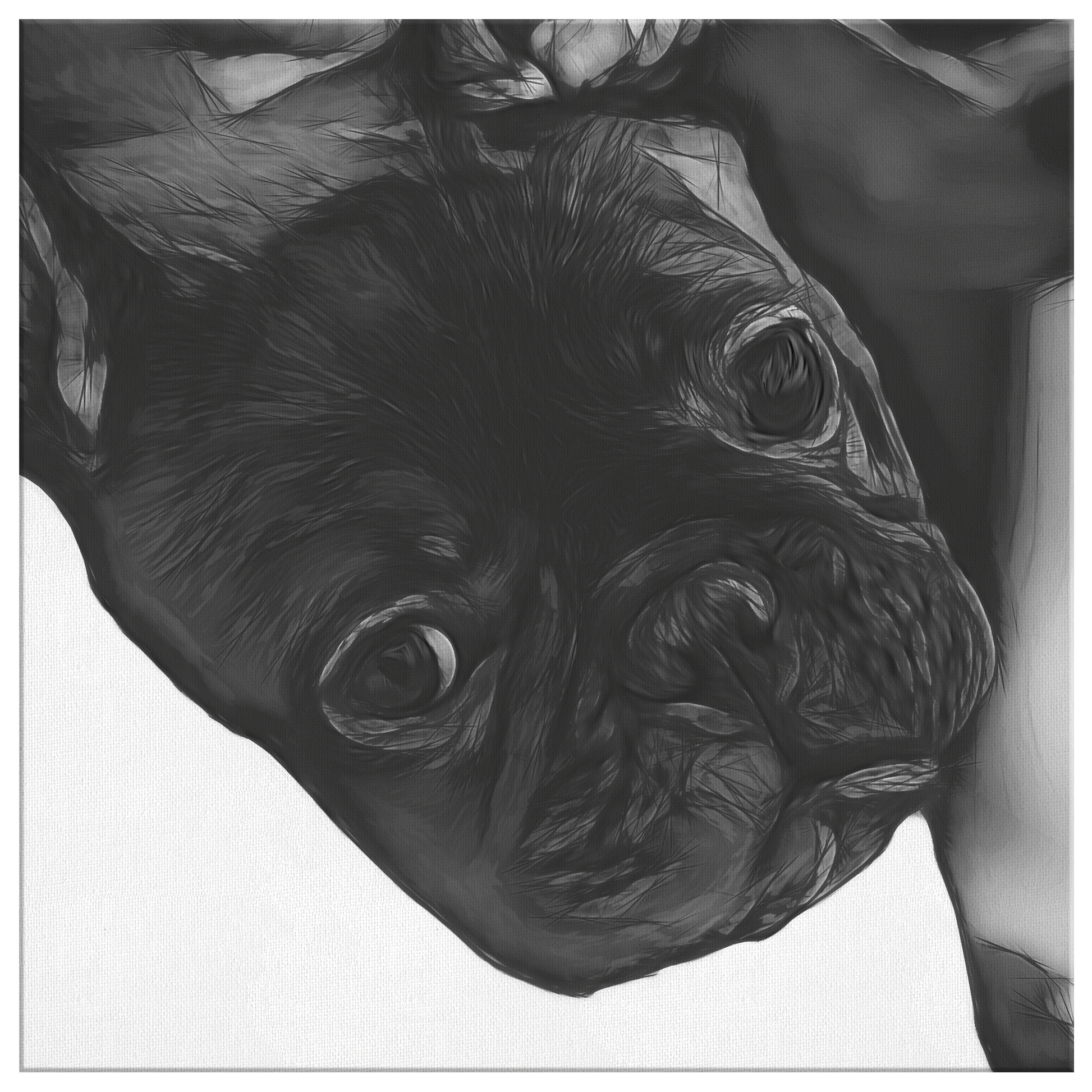 Buy French Bulldog canvas | Roscoe & Charlie