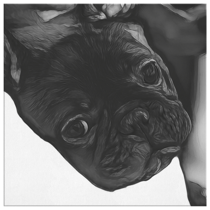 Buy French Bulldog canvas | Roscoe & Charlie