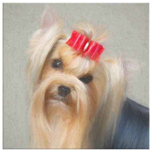 Buy Yorkie Wall Canvas Online | Roscoe & Charlie