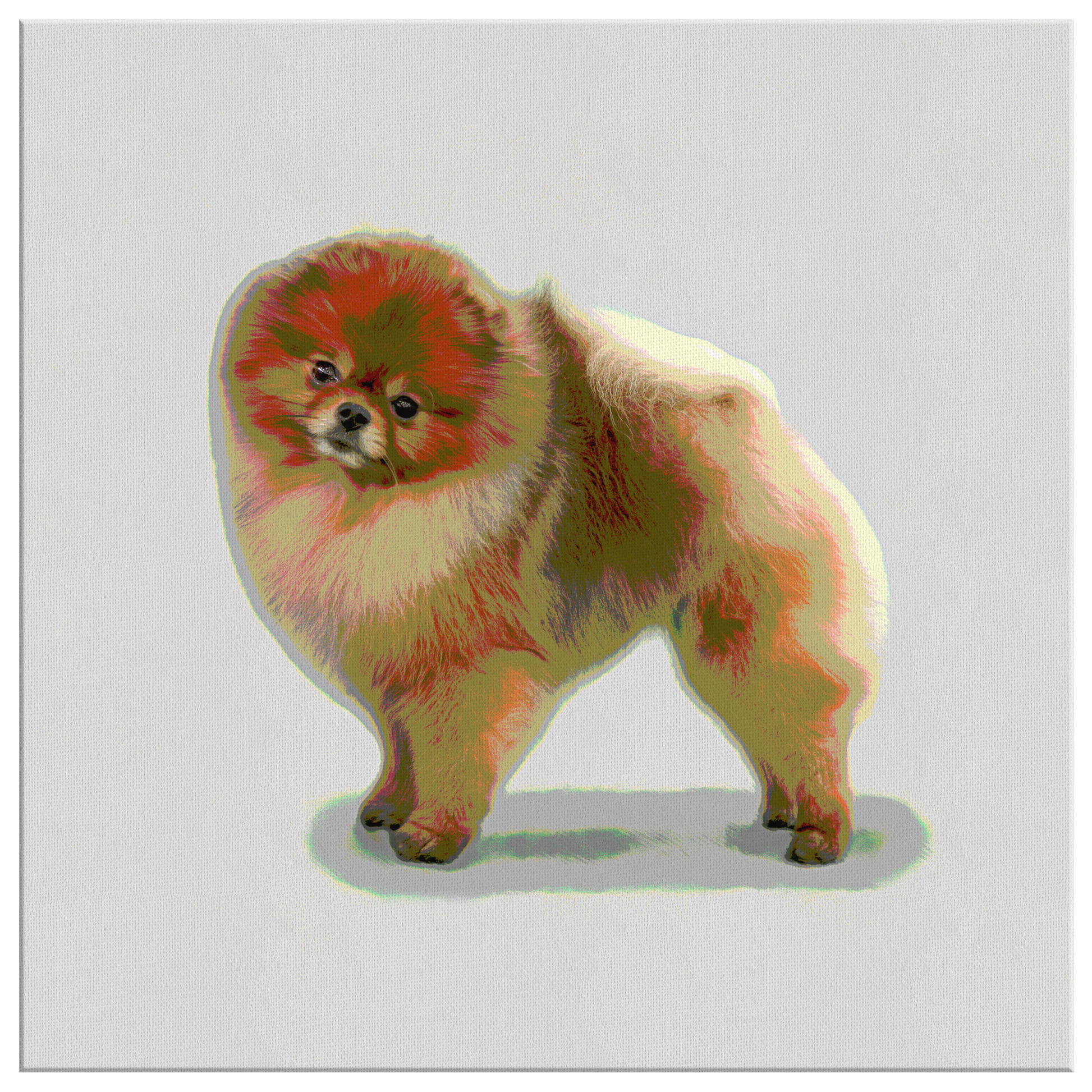 Buy Pomeranian Wall Art Online | Roscoe & Charlie