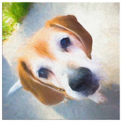 Buy canvas art with Beagle prints online | Roscoe & Charlie