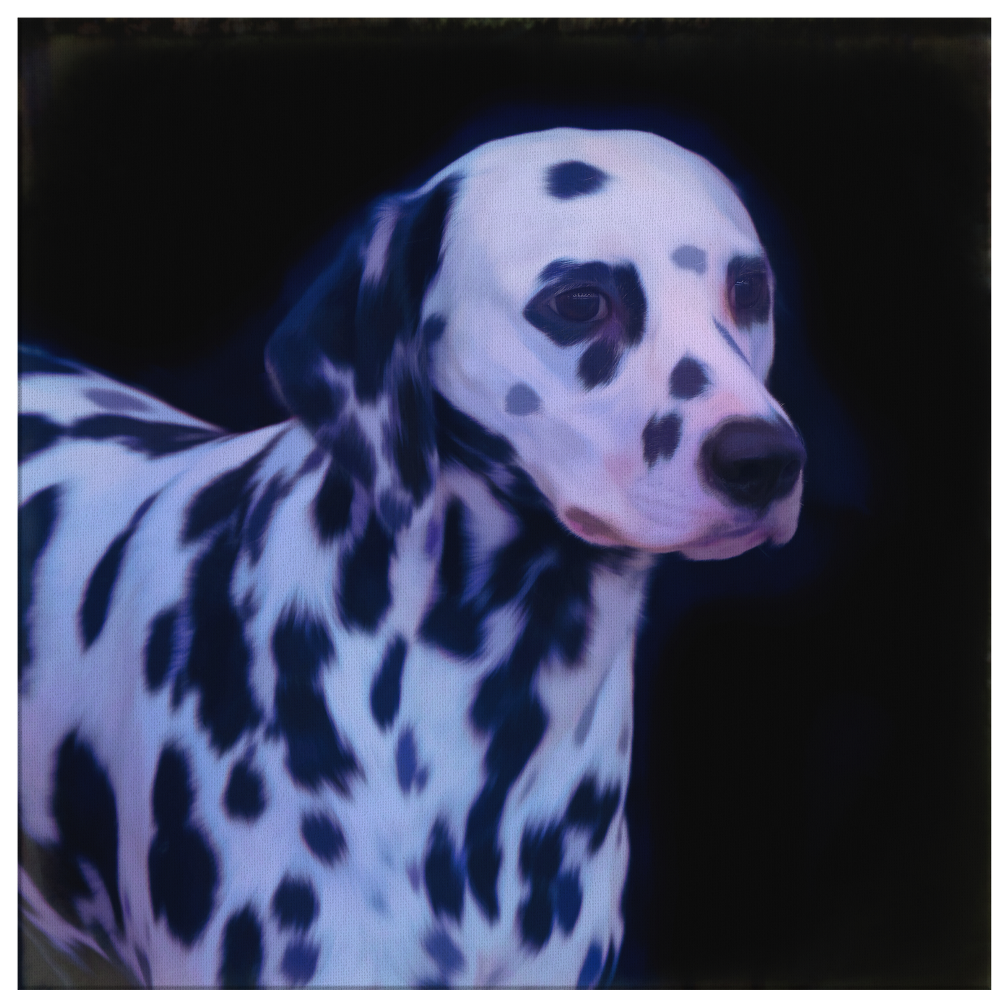 Buy dalmatian hot sale dog online