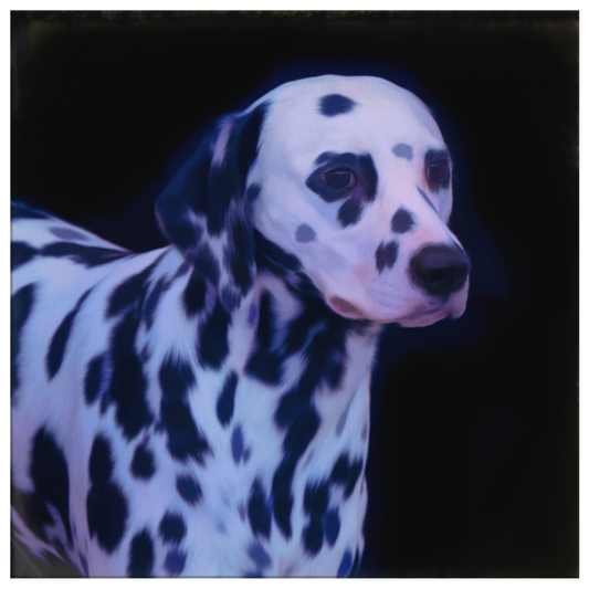 Buy Dalmatian Dog Wall Art online | Roscoe & Charlie