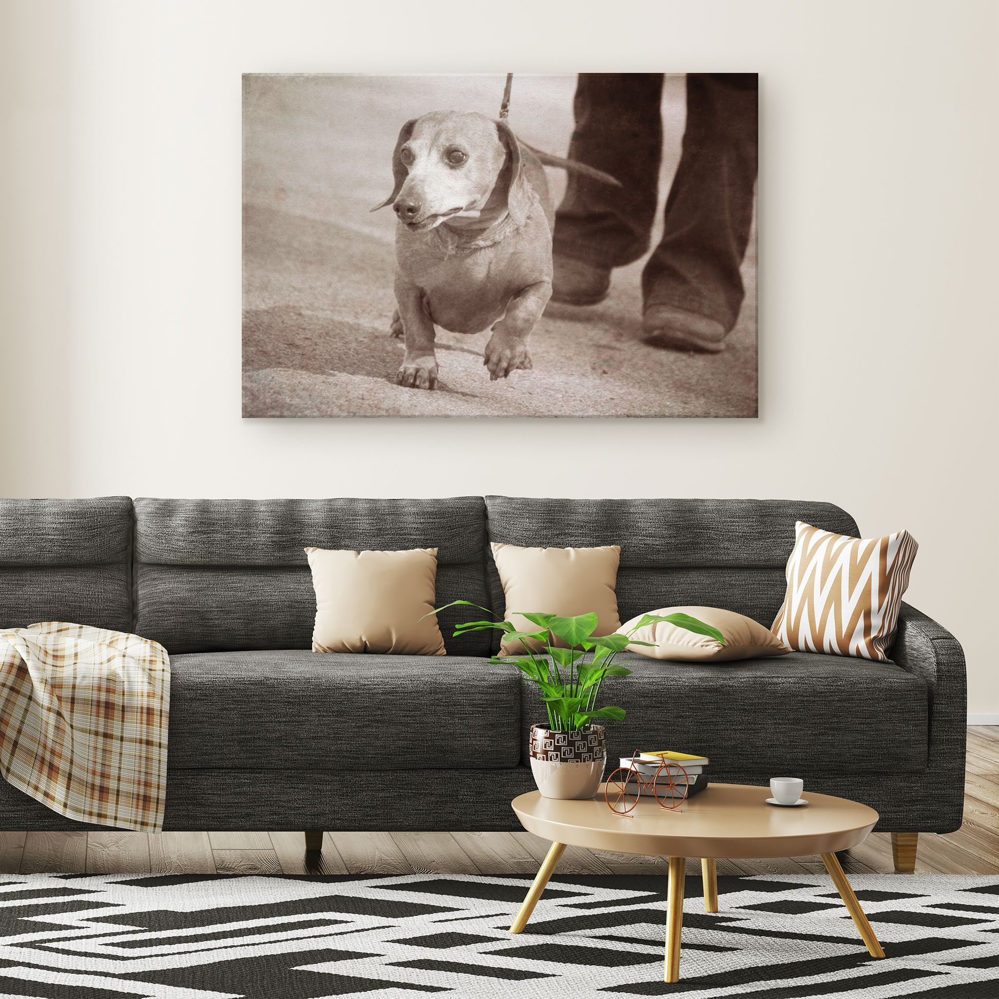 Shop for Dachshund Wall Canvases online | Roscoe & Charlie