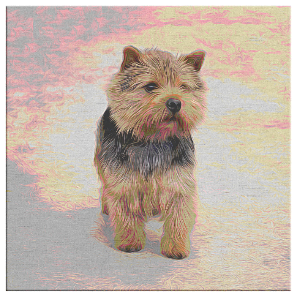 Buy Abby I Gallery Canvas | Shop for Norwich Terrier Wall Art | Roscoe & Charlie