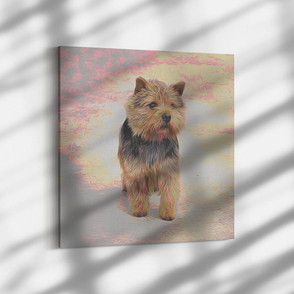 Buy Abby I Gallery Canvas | Shop for Norwich Terrier Wall Art | Roscoe & Charlie