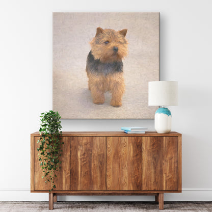 Buy Abby II Gallery Canvas | Shop Norwich Terrier Wall Art | Roscoe & Charlie