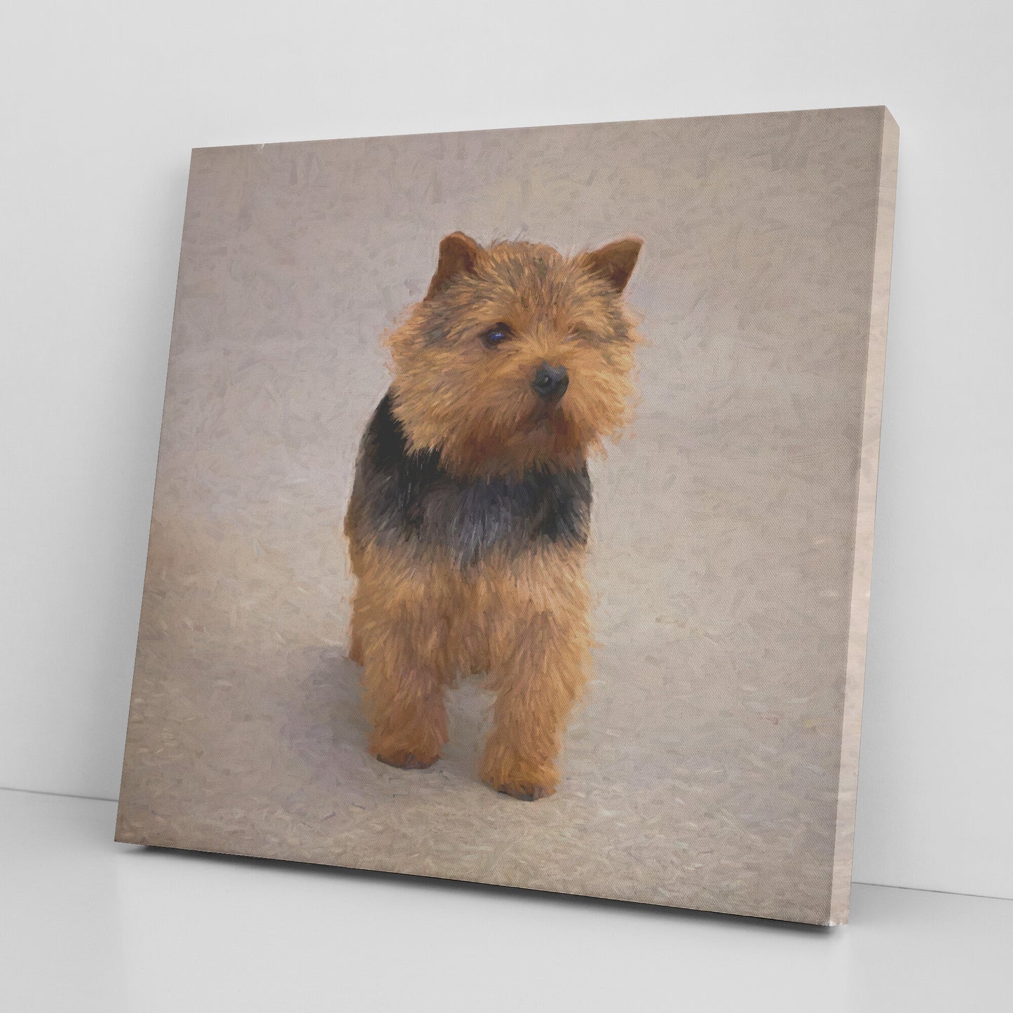 Buy Abby II Gallery Canvas | Shop Norwich Terrier Wall Art | Roscoe & Charlie