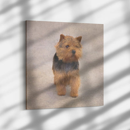 Buy Abby II Gallery Canvas | Shop Norwich Terrier Wall Art | Roscoe & Charlie