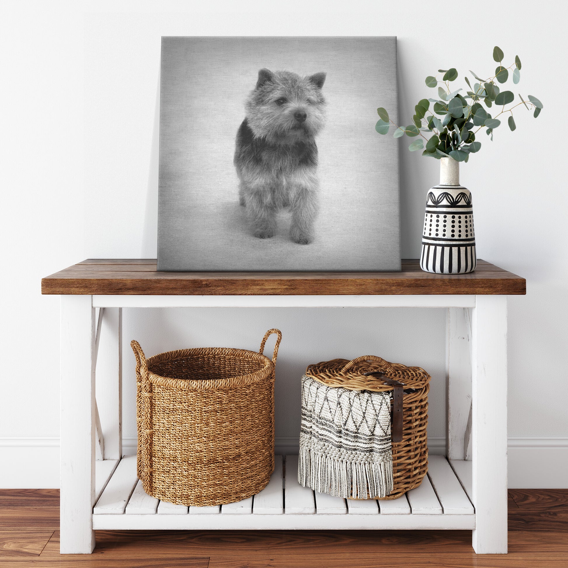 Buy Abby V Gallery Canvas | Shop for Norwich Terrier Wall Art | Roscoe & Charlie