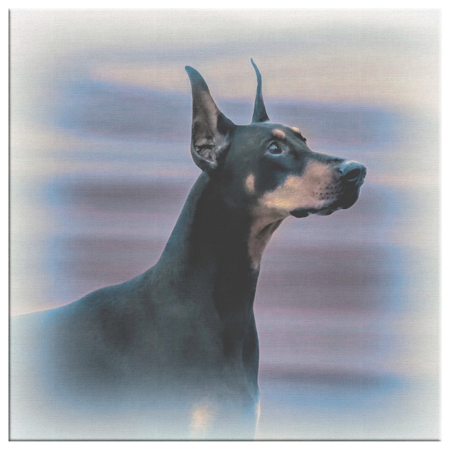 Buy Ace IV Gallery Canvas | Shop Doberman Wall Art | Roscoe & Charlie