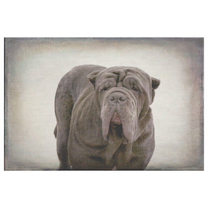 Buy Apollo IV Gallery Canvas | Shop for Neapolitan Mastiff Wall Art | Roscoe & Charlie