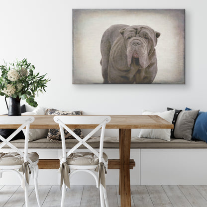 Buy Apollo IV Gallery Canvas | Shop for Neapolitan Mastiff Wall Art | Roscoe & Charlie