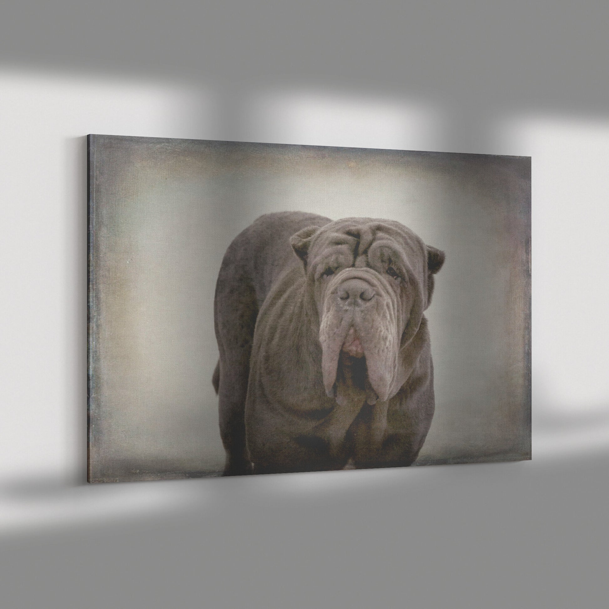 Buy Apollo IV Gallery Canvas | Shop for Neapolitan Mastiff Wall Art | Roscoe & Charlie