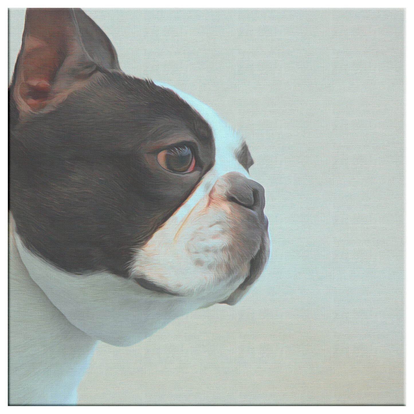 Buy Bella II Gallery Canvas | Shop for Boston Terrier Wall Art | Roscoe & Charlie