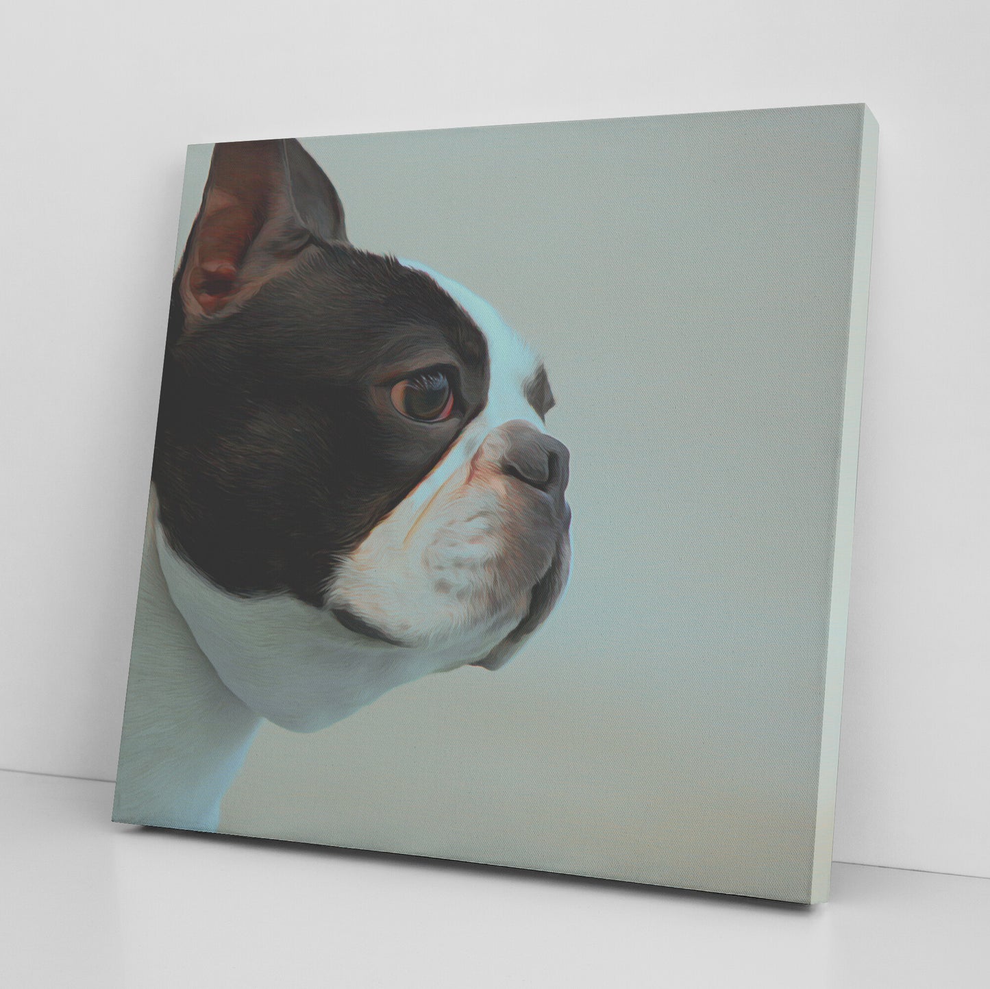 Buy Bella II Gallery Canvas | Shop for Boston Terrier Wall Art | Roscoe & Charlie