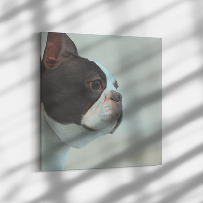 Buy Bella II Gallery Canvas | Shop for Boston Terrier Wall Art | Roscoe & Charlie