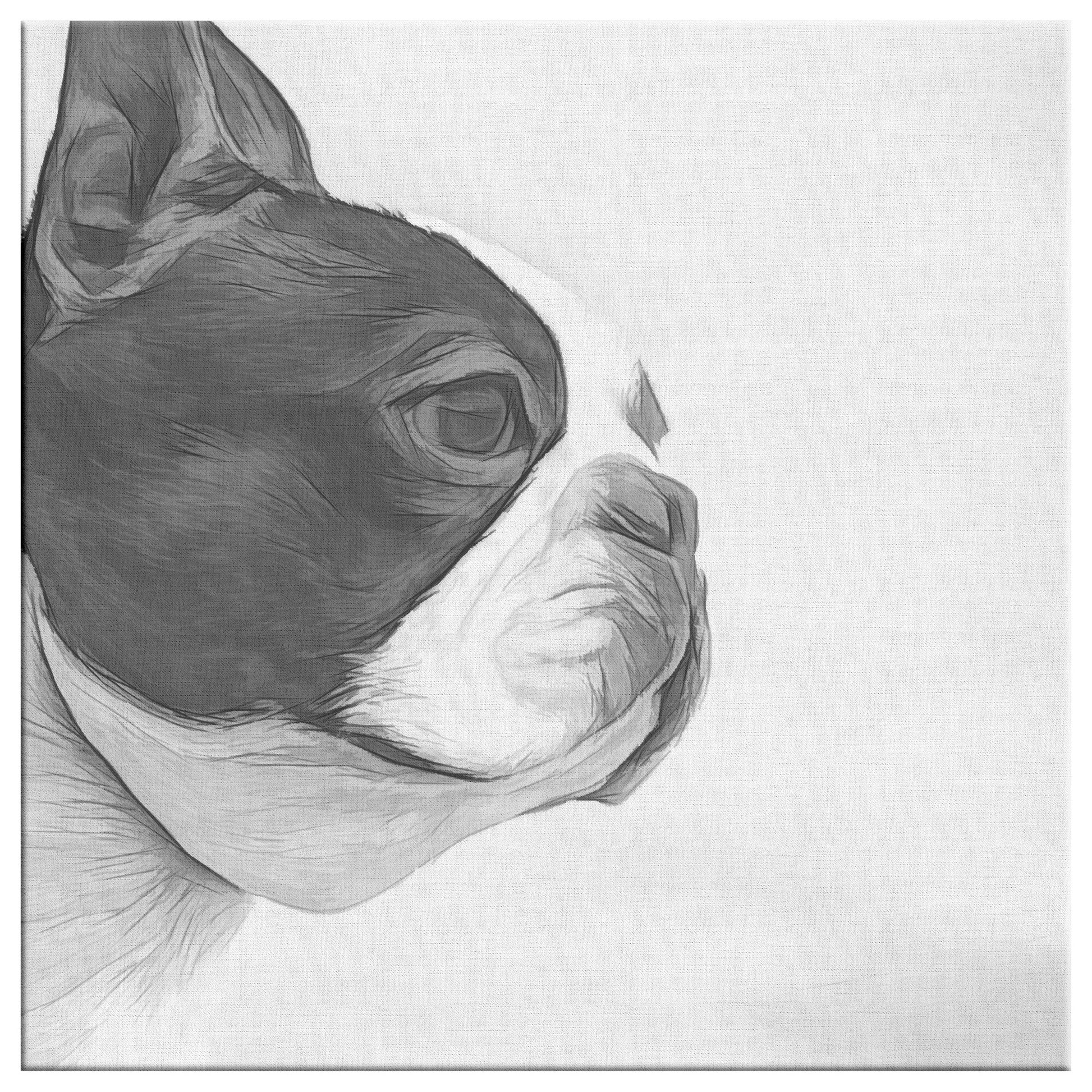 Buy Bella III Gallery Canvas | Shop Boston Terrier Wall Art | Roscoe & Charlie