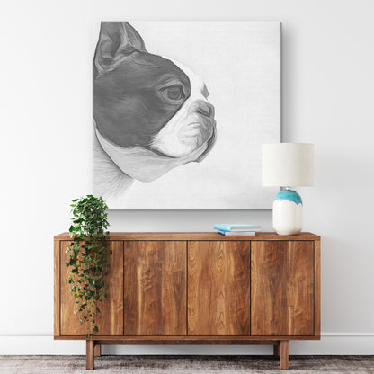 Buy Bella III Gallery Canvas | Shop Boston Terrier Wall Art | Roscoe & Charlie