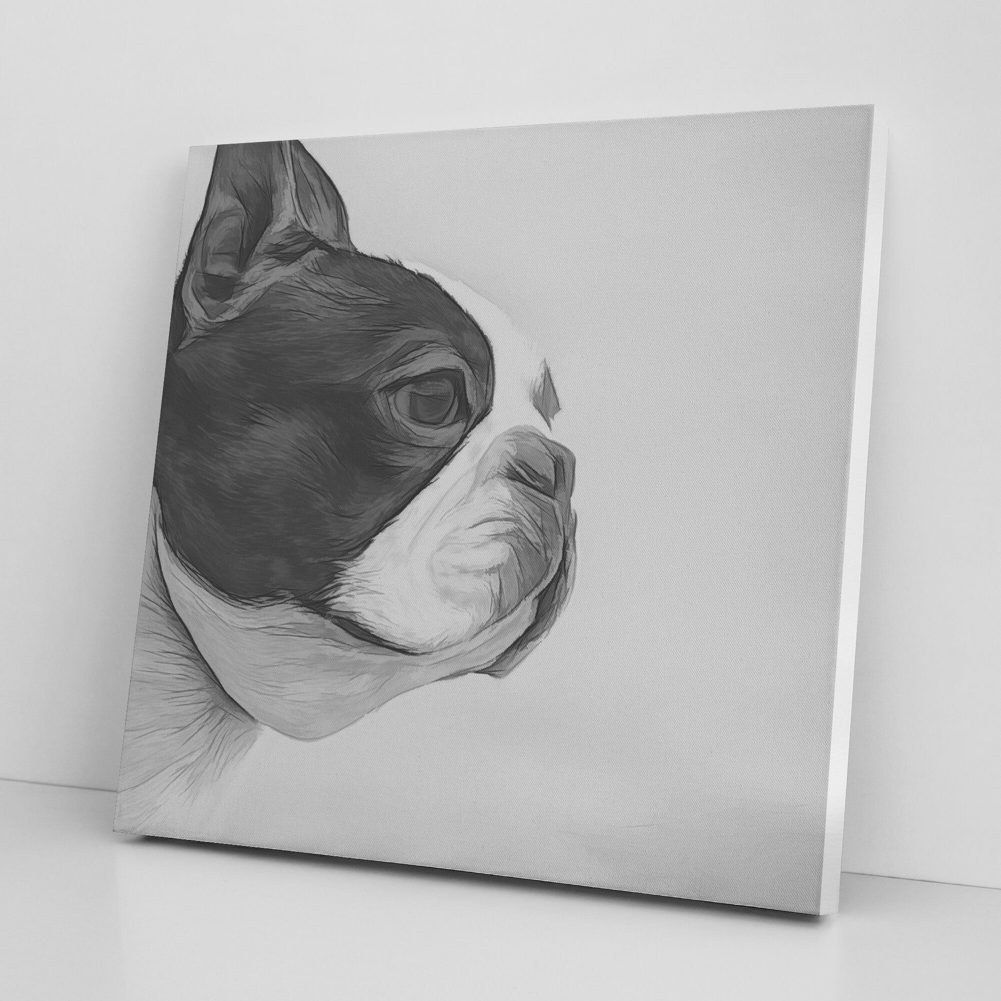 Buy Bella III Gallery Canvas | Shop Boston Terrier Wall Art | Roscoe & Charlie