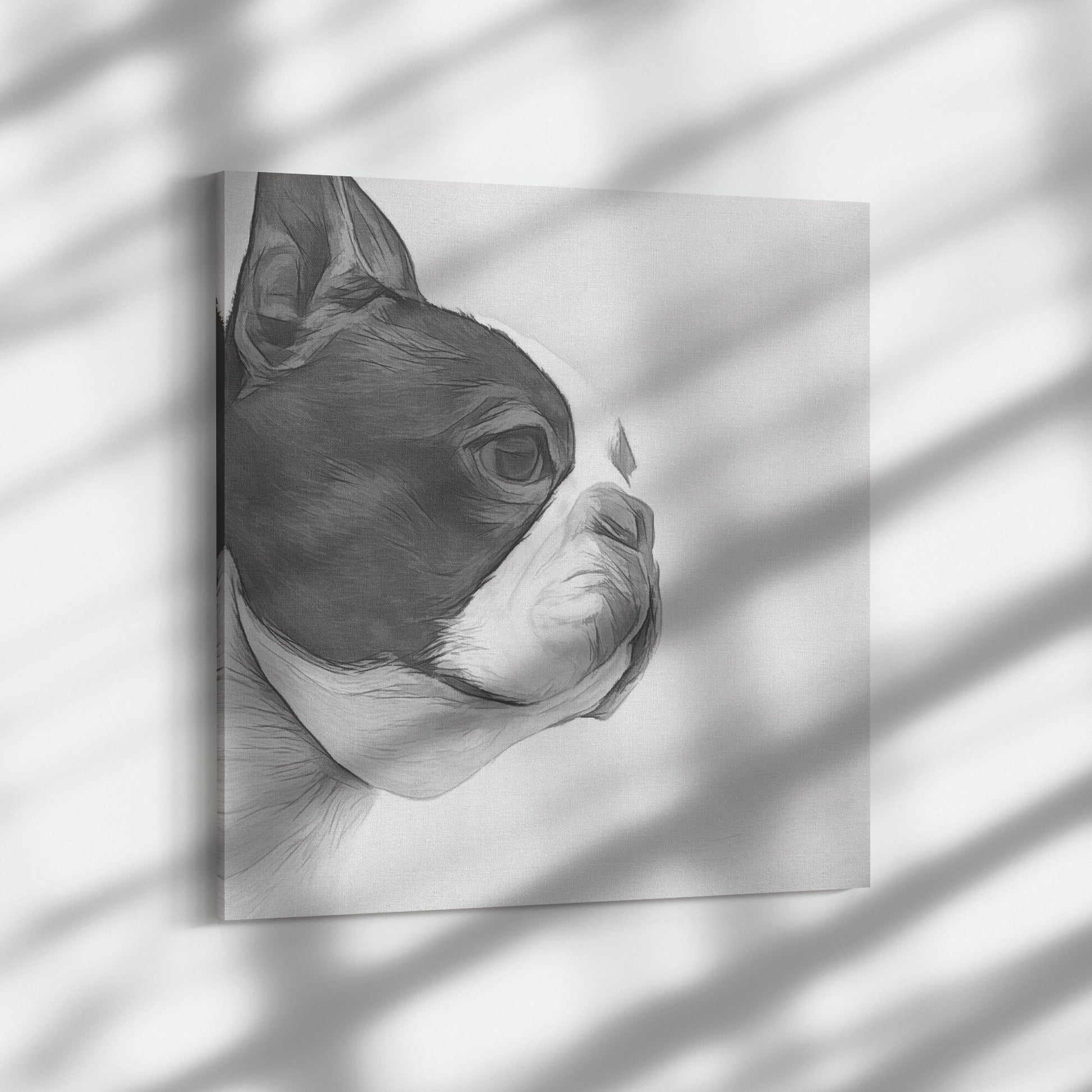 Buy Bella III Gallery Canvas | Shop Boston Terrier Wall Art | Roscoe & Charlie