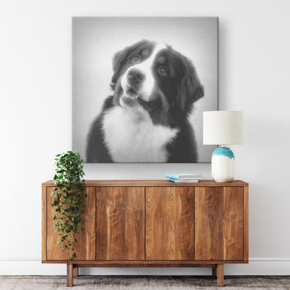 Buy Bernie VI Gallery Canvas | Shop for Bernese Mountain Dog Wall Art | Roscoe & Charlie